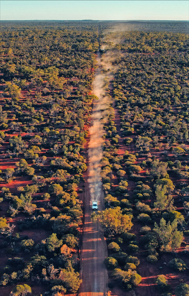 Capricorn Metails Mt Gibson Gold